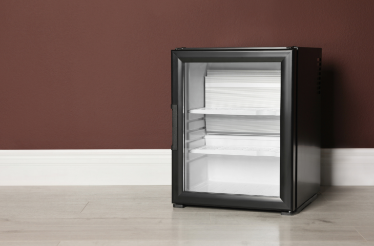 Top 10 Best Mini Fridges to buy in 2024